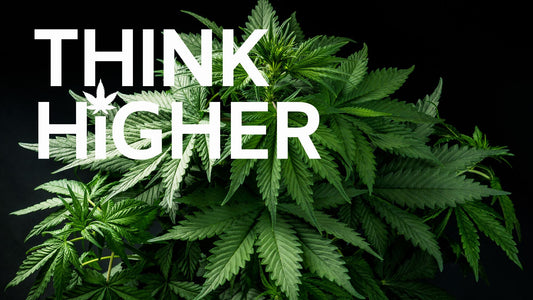 Unveiling the Origins and Science of THCa: A Journey into Cannabis Chemistry