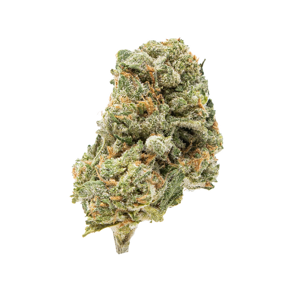 Flor de THCA de espectro dorado (parte superior) - Cherry Cookies