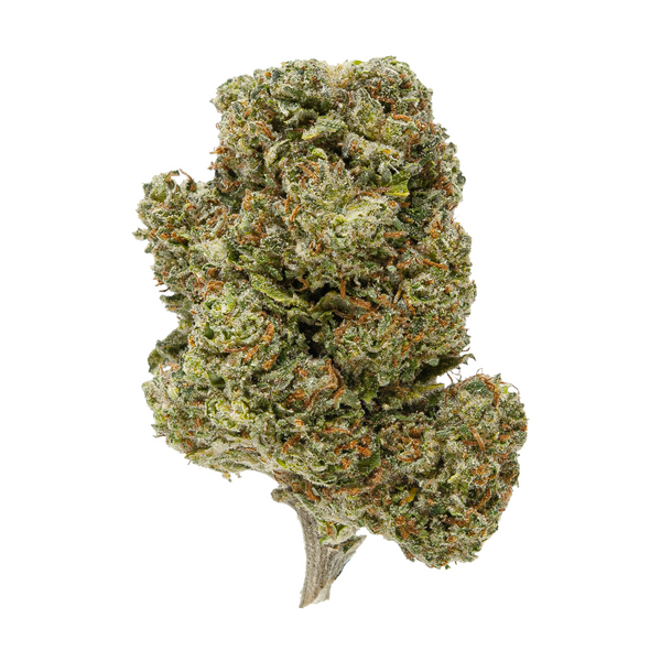 Gold Spectrum THCA Flower (Top) - Do-Si-Dos
