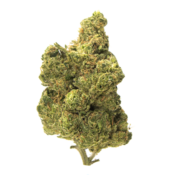 Gold Spectrum THCA Flower (Connoisseur) - Full Gas