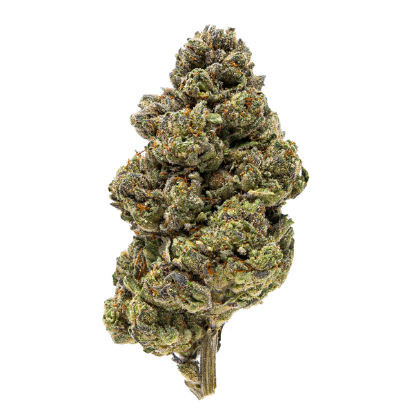 Flor de THCA de espectro dorado (parte superior) - Gastro Pop