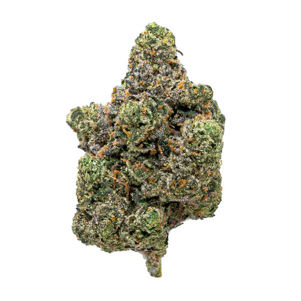 Flor de THCA de espectro dorado (connoisseur) - Helado de cereza negra