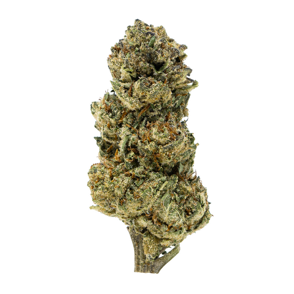 Flor de THCA de espectro dorado (arriba) - Illuminati