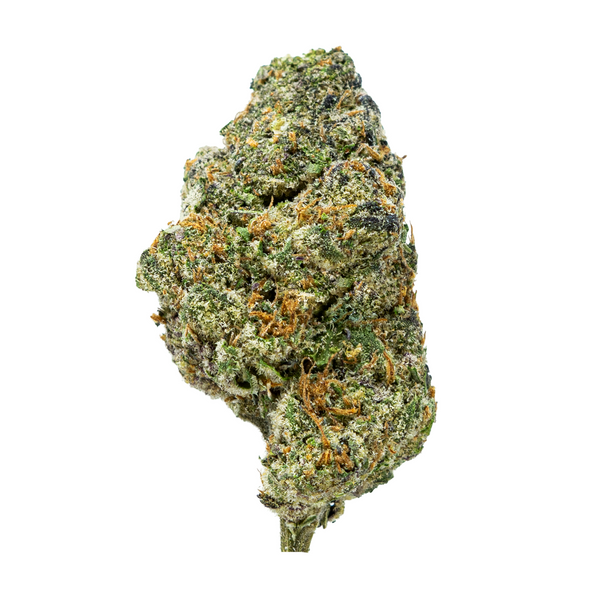 Flor de THCA de espectro dorado (connoisseur) - Helado de cereza negra
