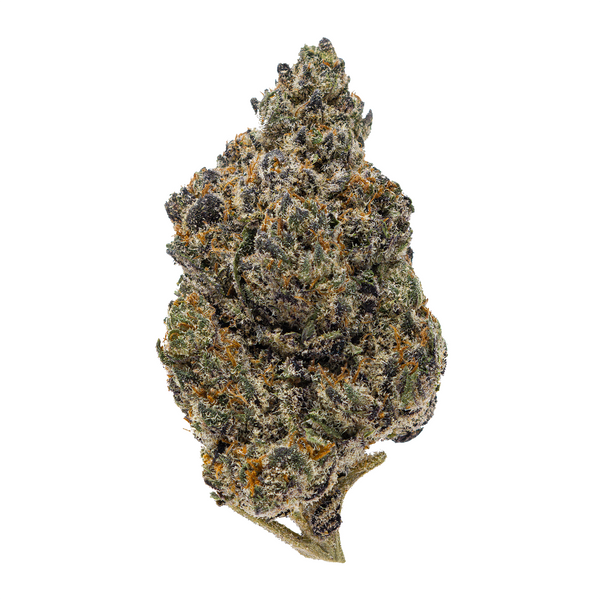 Gold Spectrum THCA Flower (Connoisseur) - Malawi Gold