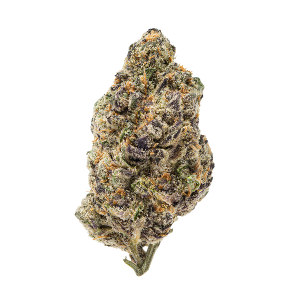 Gold Spectrum THCA Flower (Connoisseur) - Mandarin Cookies