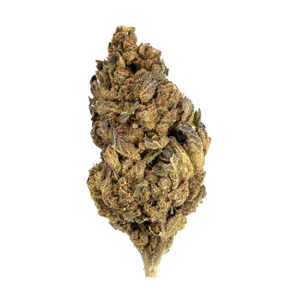 Gold Spectrum THCA Flower (Top) - Peanut Butter Cup