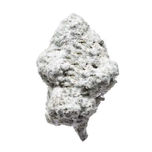 Snowballs THCa Flower