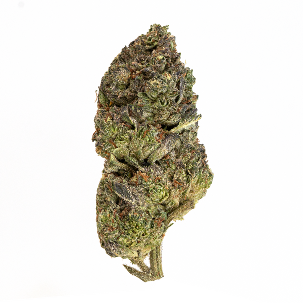 Flor de THCA de espectro dorado (parte superior) - Cherry Cookies