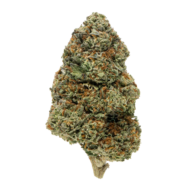 Gold Spectrum THCA Flower (Top) - Sundae Runtz