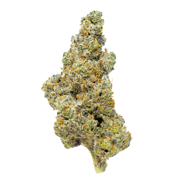 Gold Spectrum THCA Flower (Connoisseur) - Wedding Cake