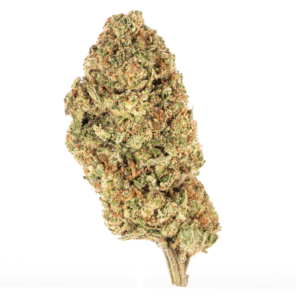 Gold Spectrum THCA Flower (Connoisseur) - Orange Creamsicle