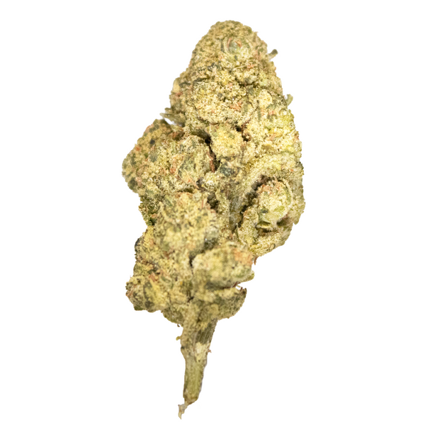 Gold Spectrum THCA Flower (Top) - Pink Panties