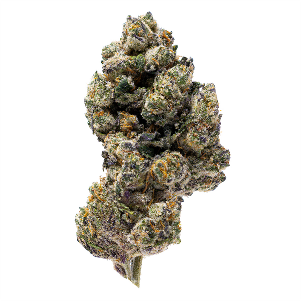 Gold Spectrum THCA Flower (Connoisseur) - Z41