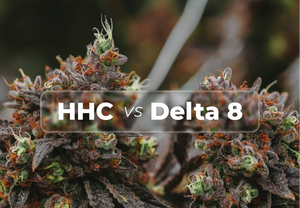 HHC vs Delta: A Guide to Potency, Effects, and Legality