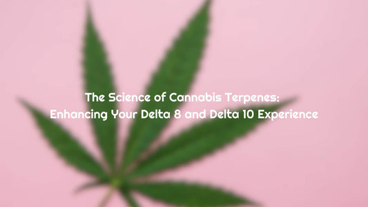 The Science of Cannabis Terpenes: Enhancing Your Delta 8 and Delta 10 Experience