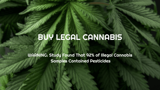 The Importance of Purchasing Legal and Tested Cannabis: A Path to Transparency and Safety