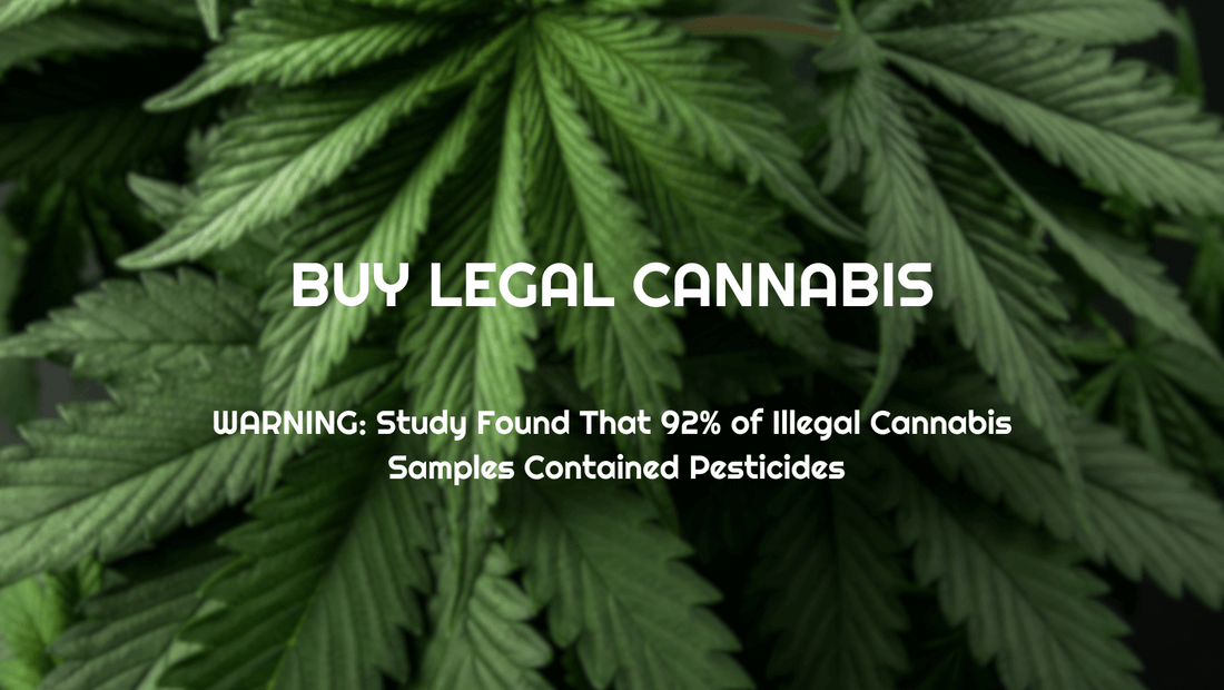 The Importance of Purchasing Legal and Tested Cannabis: A Path to Transparency and Safety