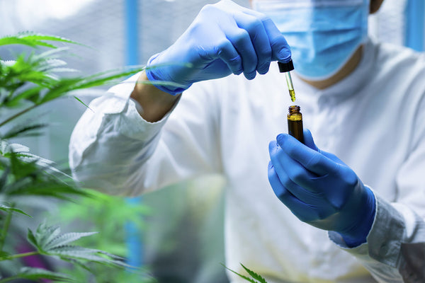 Decoding Your Full-Panel COA: A Simple Guide to Understanding Cannabis Lab Reports