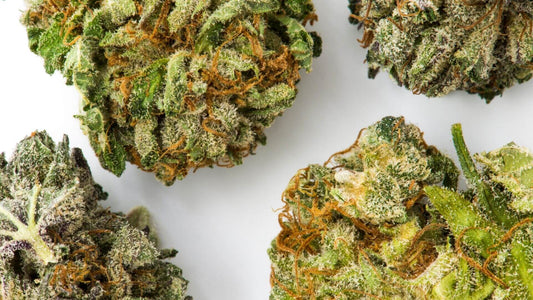 The Art of Crafting THCA Flower: Unveiling Gold Spectrum's Ever-Evolving Strain Menu