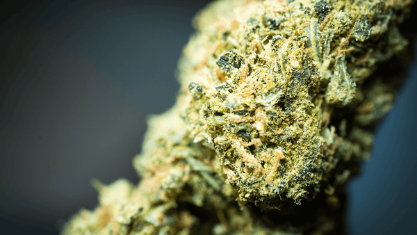 Exploring Different Consumption Methods and Dosage Guidelines for THCA Flower