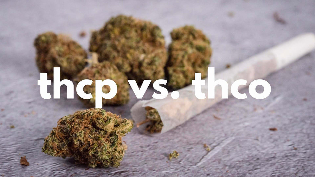 The THC Puzzle: Unraveling the Strength of THCP and THCO