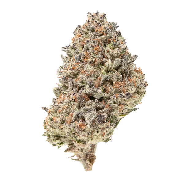 Gold Spectrum THCA Flower (Top) - Baccio Gelato