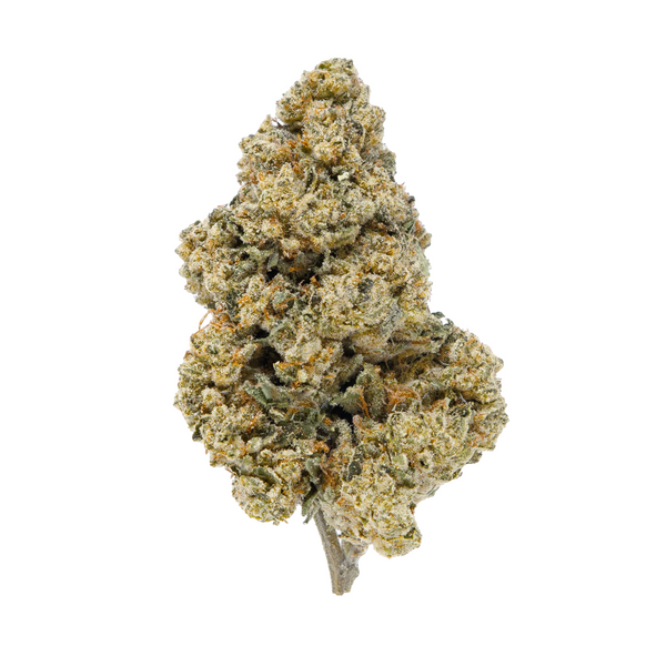 Gold Spectrum THCA Flower (Top) - Banana Cooler