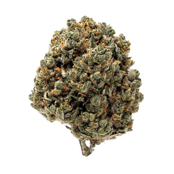 Gold Spectrum THCA Flower (Top) - Blue Nerdz
