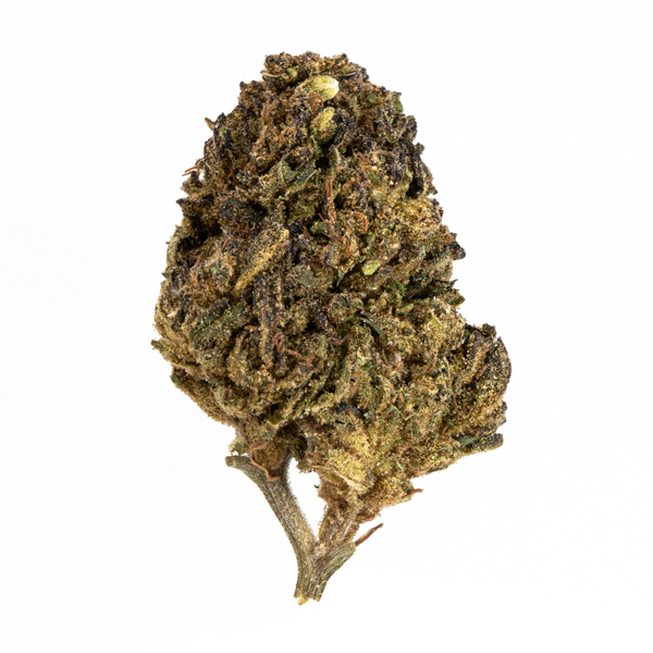 Flor de THCA de espectro dorado: variedad de máxima calidad del mes