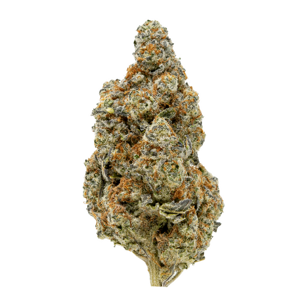 Gold Spectrum THCA Flower (Connoisseur) - Blueberry Pancakes