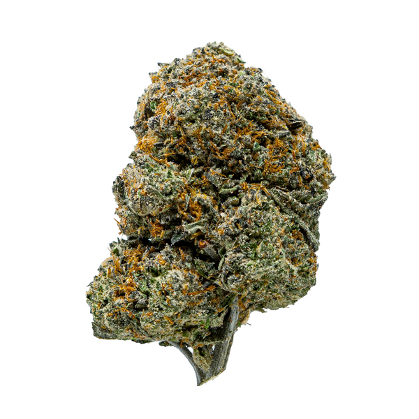 Flor de THCA de espectro dorado (connoisseur) - Helado de cereza negra