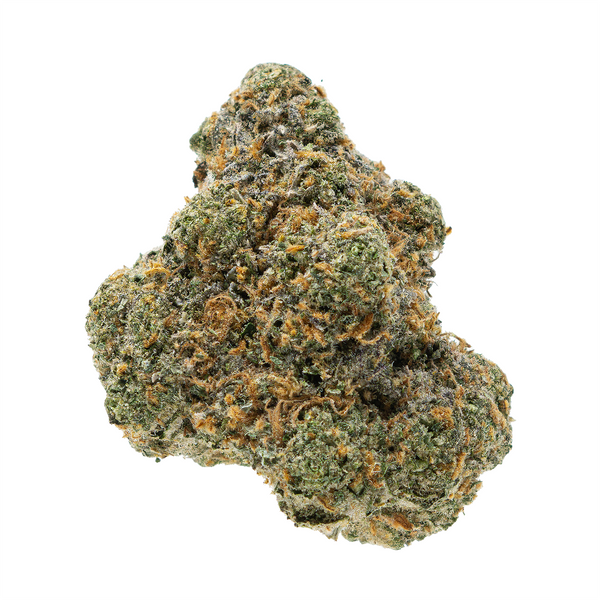 Gold Spectrum THCA Flower (Connoisseur) - Bugazzi Beltz