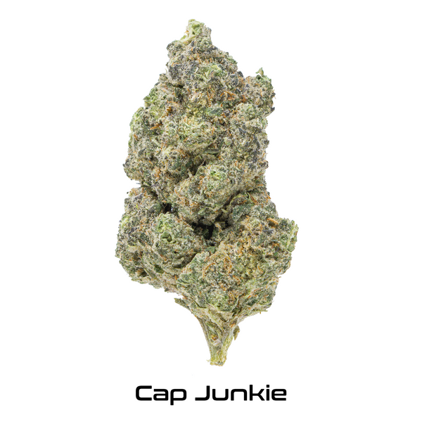 Gold Spectrum THCA Flower - Exotic Quality Strain of the Month