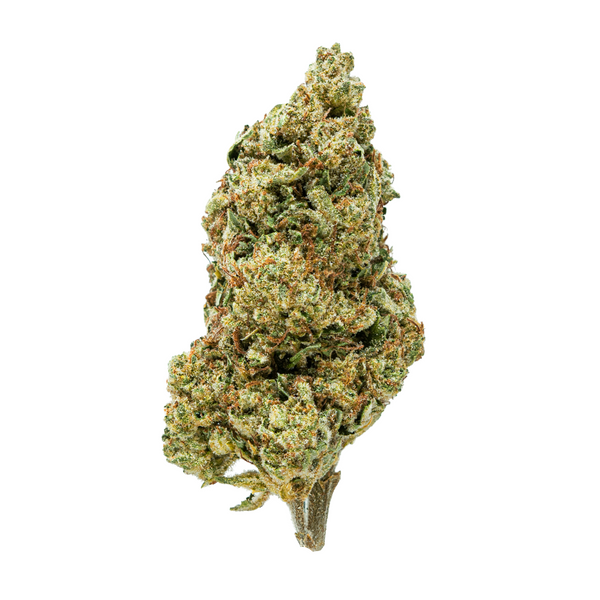 Flor de THCA de espectro dorado (parte superior) - Cherry Cookies