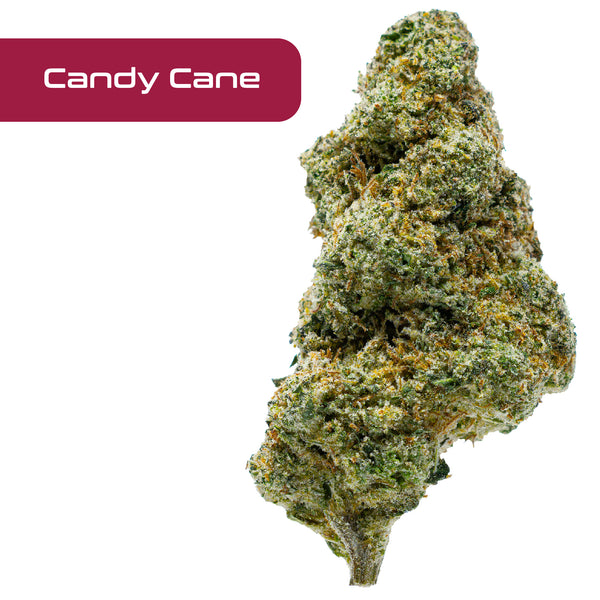 Gold Spectrum THCA Flower - Top Quality Strain of the Month