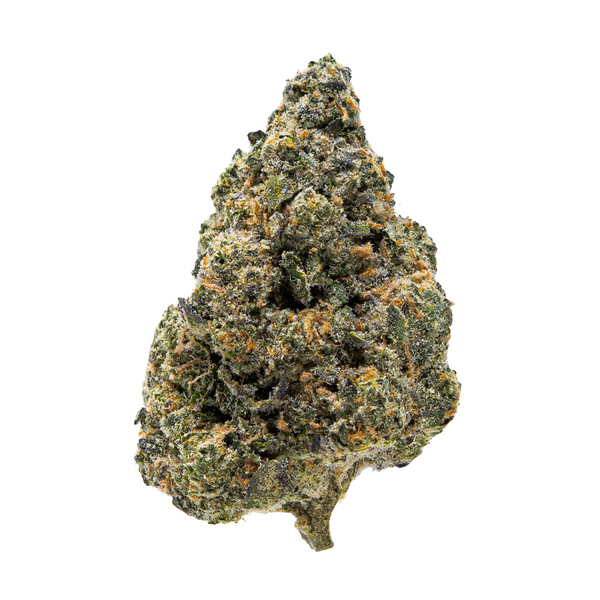 Gold Spectrum THCA Flower (Exotic) - Cereal Milk