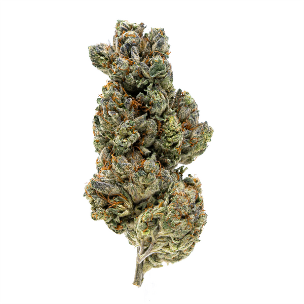 Gold Spectrum THCA Flower (Top) - Cherry Dosi