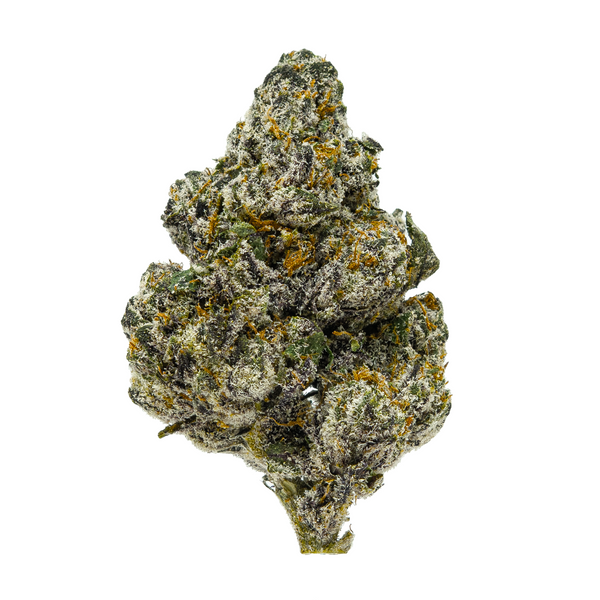 Gold Spectrum THCA Flower (Exotic) - Blueberry Sugar