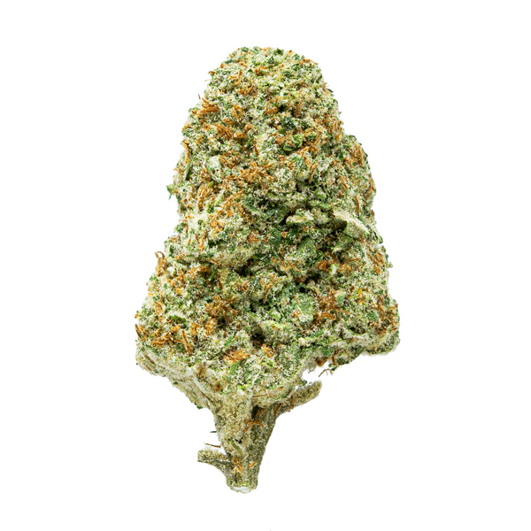 Flor de THCA de espectro dorado (connoisseur) - Helado de cereza negra