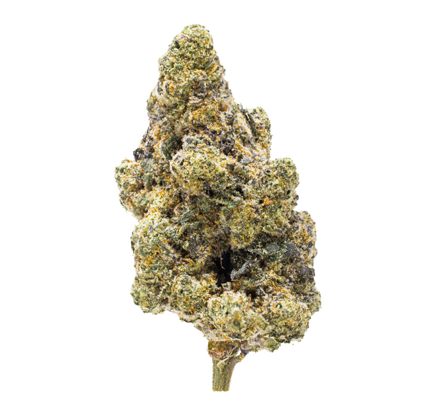 Gold Spectrum THCA Flower (Exotic) - Diesel Donut