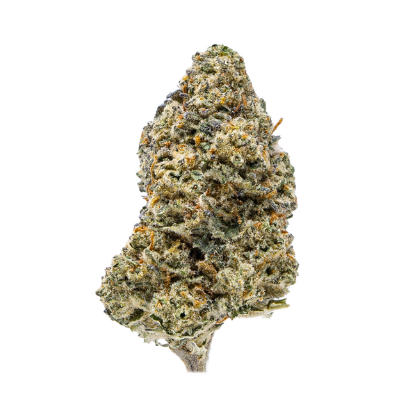 Gold Spectrum THCA Flower (Top) - El Chivo