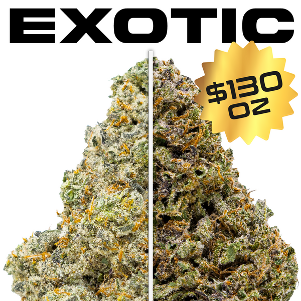 Flor de THCA de espectro dorado: variedad exótica del mes