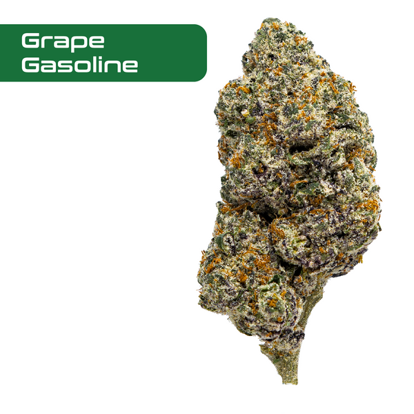 Flor de THCA de espectro dorado: variedad exótica del mes