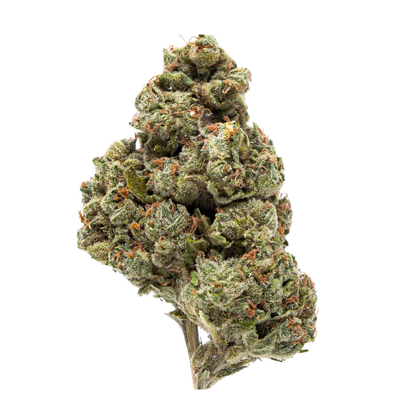 Flor de THCA de espectro dorado (parte superior) - Cherry Cookies