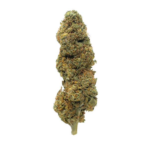 Flor de THCA de espectro dorado (parte superior) - Cherry Cookies