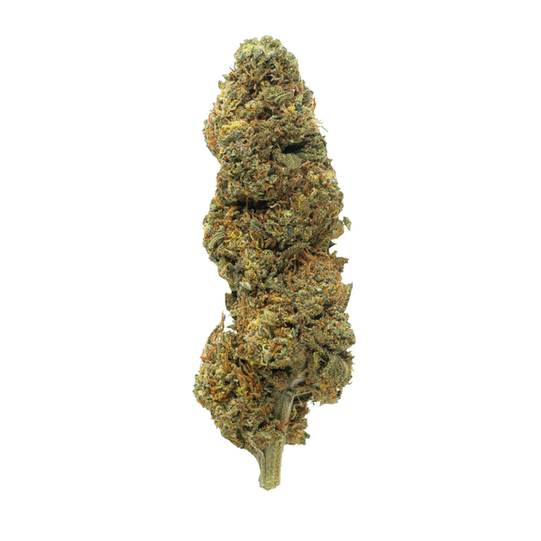Gold Spectrum THCA Flower - Top Quality Strain of the Month