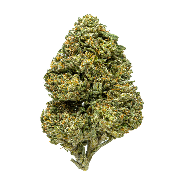 Gold Spectrum THCA Flower (Top) - Grease Monkey