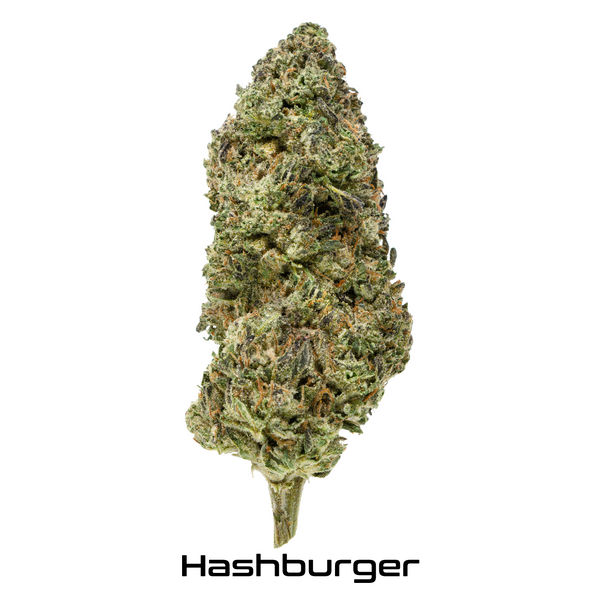 Gold Spectrum THCA Flower - Top Quality Strain of the Month