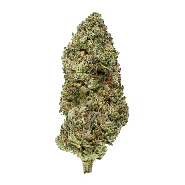 Gold Spectrum THCA Flower (Connoisseur) - Donny Burger